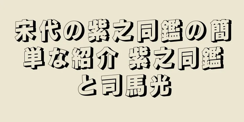 宋代の紫之同鑑の簡単な紹介 紫之同鑑と司馬光