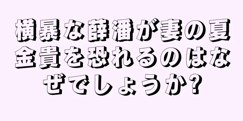 横暴な薛潘が妻の夏金貴を恐れるのはなぜでしょうか?