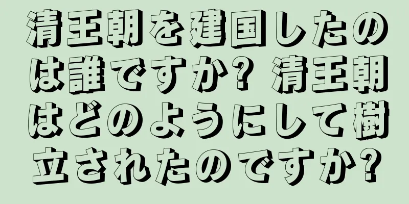 清王朝を建国したのは誰ですか? 清王朝はどのようにして樹立されたのですか?