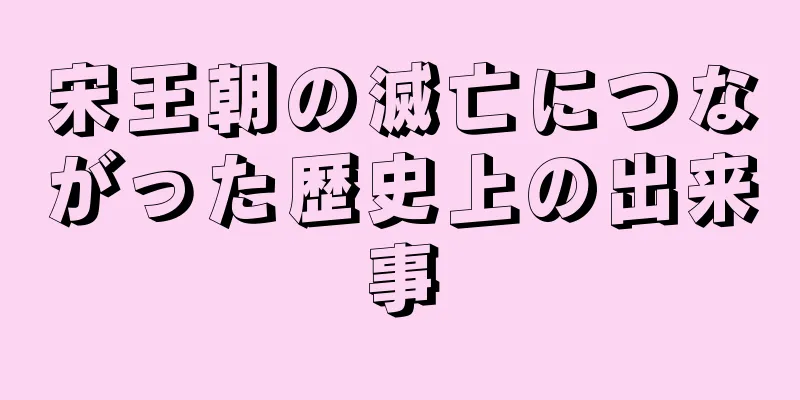 宋王朝の滅亡につながった歴史上の出来事