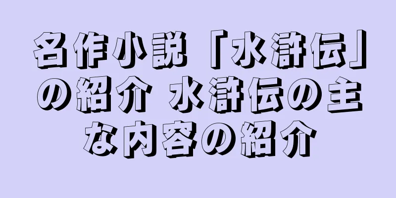 名作小説「水滸伝」の紹介 水滸伝の主な内容の紹介