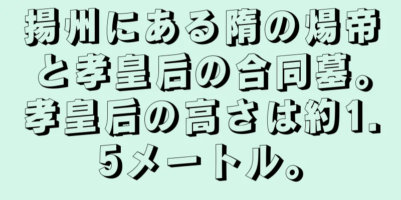 揚州にある隋の煬帝と孝皇后の合同墓。孝皇后の高さは約1.5メートル。