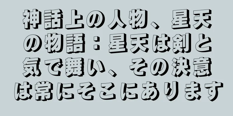 神話上の人物、星天の物語：星天は剣と気で舞い、その決意は常にそこにあります