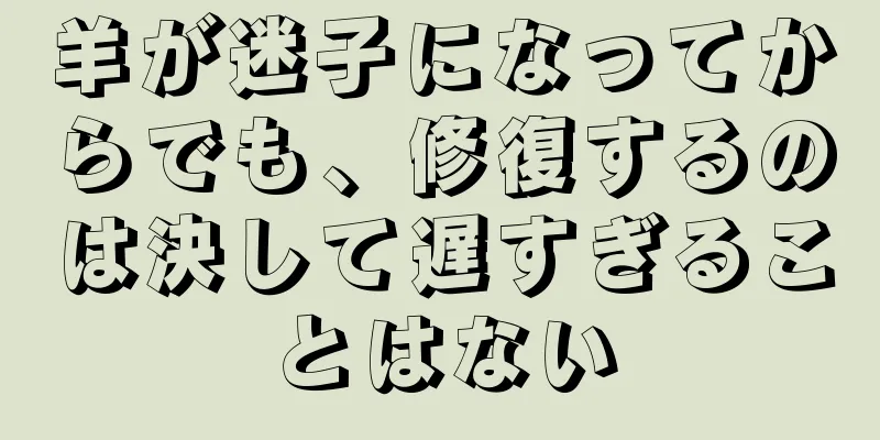 羊が迷子になってからでも、修復するのは決して遅すぎることはない