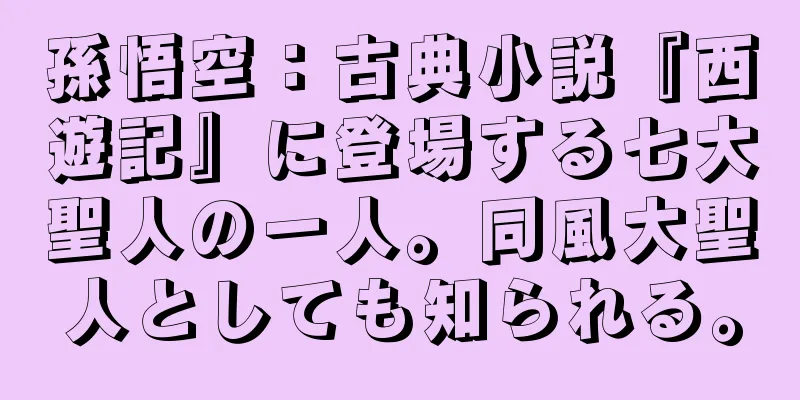 孫悟空：古典小説『西遊記』に登場する七大聖人の一人。同風大聖人としても知られる。