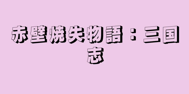 赤壁焼失物語：三国志