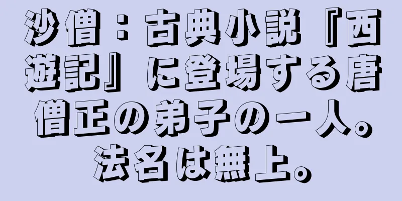 沙僧：古典小説『西遊記』に登場する唐僧正の弟子の一人。法名は無上。