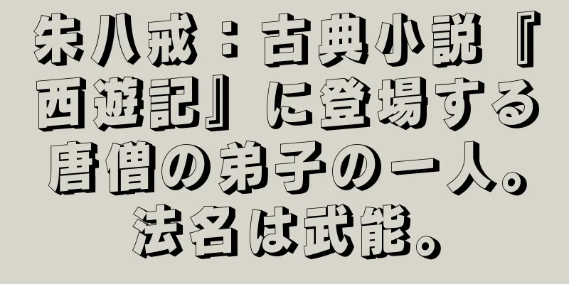 朱八戒：古典小説『西遊記』に登場する唐僧の弟子の一人。法名は武能。