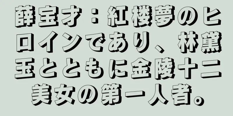 薛宝才：紅楼夢のヒロインであり、林黛玉とともに金陵十二美女の第一人者。
