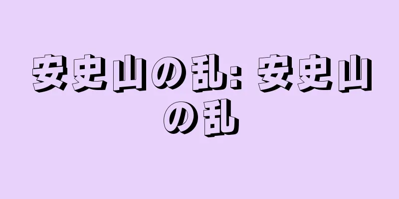 安史山の乱: 安史山の乱