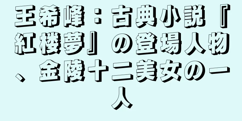 王希峰：古典小説『紅楼夢』の登場人物、金陵十二美女の一人