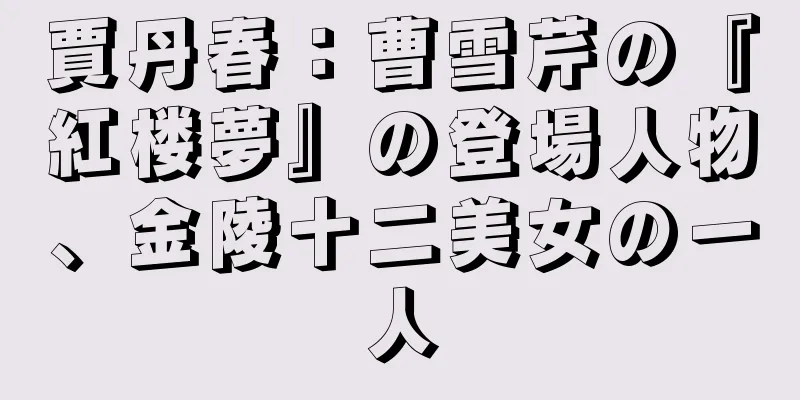 賈丹春：曹雪芹の『紅楼夢』の登場人物、金陵十二美女の一人