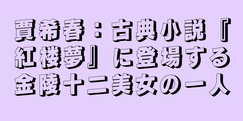 賈希春：古典小説『紅楼夢』に登場する金陵十二美女の一人