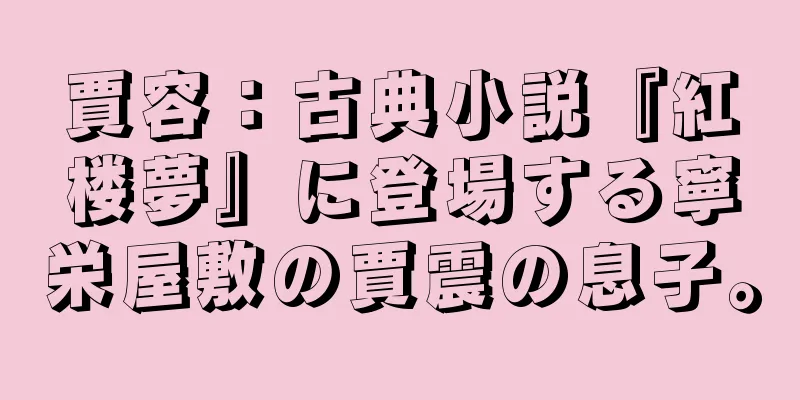 賈容：古典小説『紅楼夢』に登場する寧栄屋敷の賈震の息子。