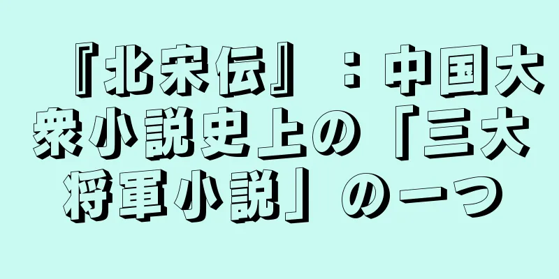 『北宋伝』：中国大衆小説史上の「三大将軍小説」の一つ
