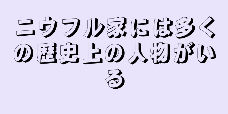 ニウフル家には多くの歴史上の人物がいる