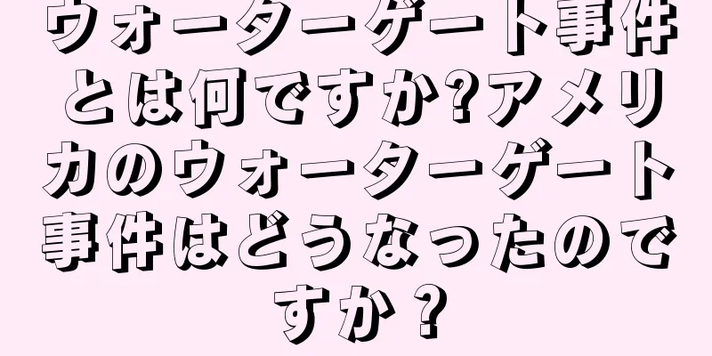 ウォーターゲート事件とは何ですか?アメリカのウォーターゲート事件はどうなったのですか？