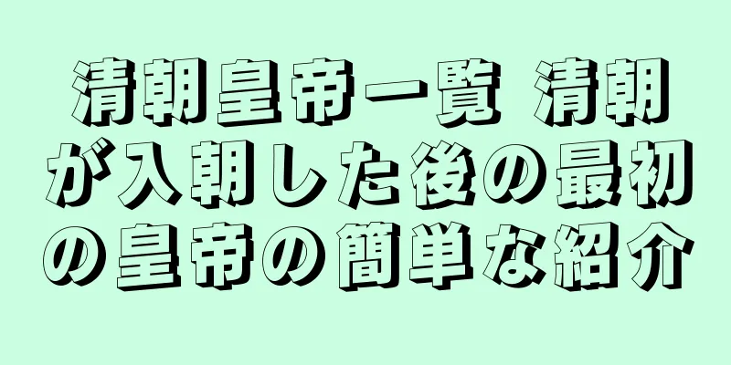 清朝皇帝一覧 清朝が入朝した後の最初の皇帝の簡単な紹介
