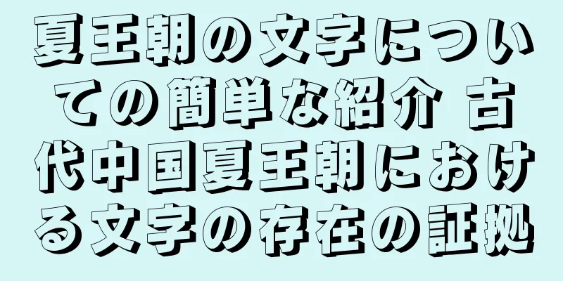 夏王朝の文字についての簡単な紹介 古代中国夏王朝における文字の存在の証拠