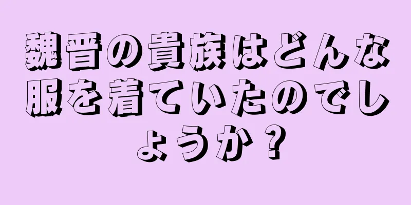 魏晋の貴族はどんな服を着ていたのでしょうか？