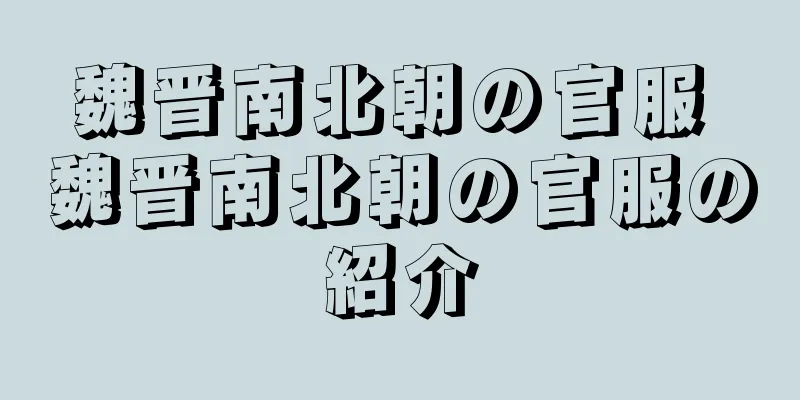 魏晋南北朝の官服 魏晋南北朝の官服の紹介