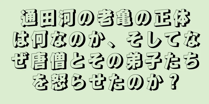 通田河の老亀の正体は何なのか、そしてなぜ唐僧とその弟子たちを怒らせたのか？