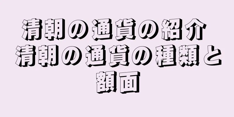 清朝の通貨の紹介 清朝の通貨の種類と額面