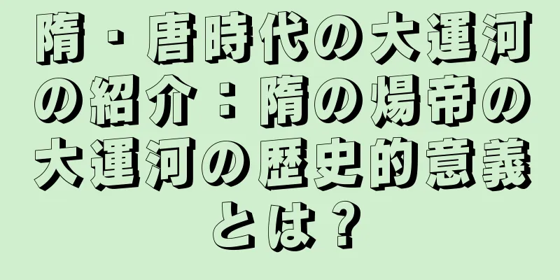隋・唐時代の大運河の紹介：隋の煬帝の大運河の歴史的意義とは？