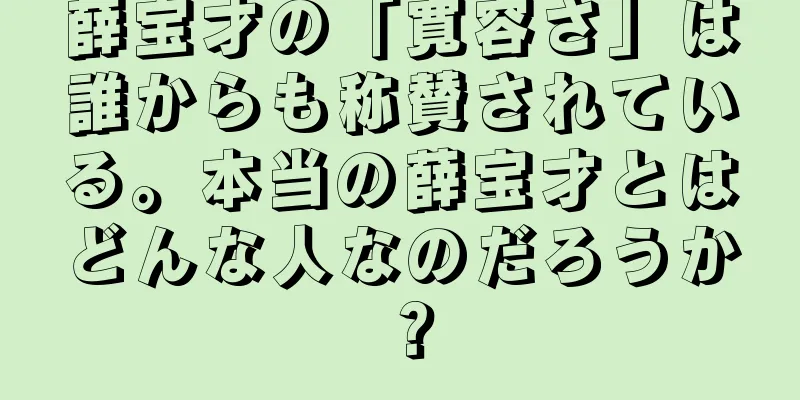 薛宝才の「寛容さ」は誰からも称賛されている。本当の薛宝才とはどんな人なのだろうか？