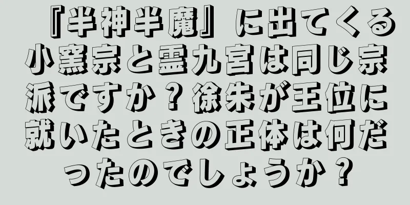 『半神半魔』に出てくる小窯宗と霊九宮は同じ宗派ですか？徐朱が王位に就いたときの正体は何だったのでしょうか？