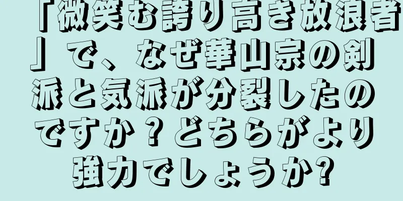 「微笑む誇り高き放浪者」で、なぜ華山宗の剣派と気派が分裂したのですか？どちらがより強力でしょうか?
