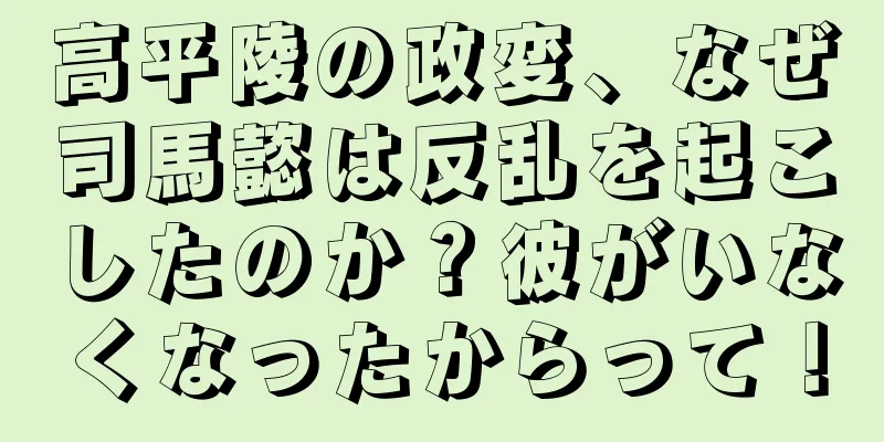 高平陵の政変、なぜ司馬懿は反乱を起こしたのか？彼がいなくなったからって！