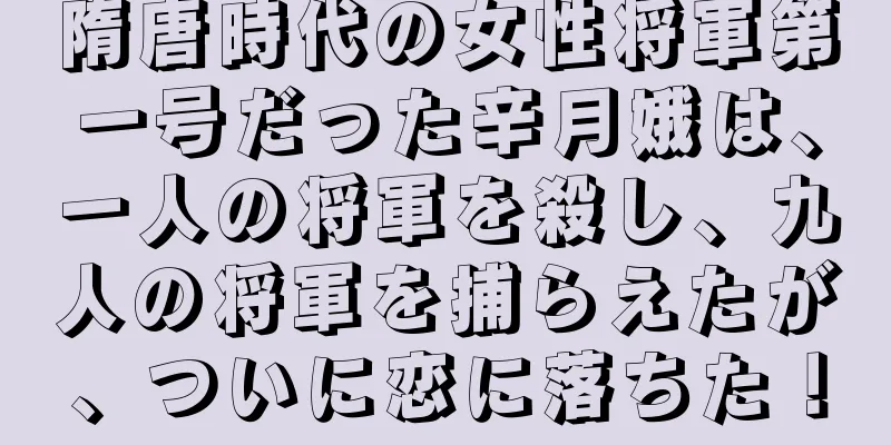 隋唐時代の女性将軍第一号だった辛月娥は、一人の将軍を殺し、九人の将軍を捕らえたが、ついに恋に落ちた！