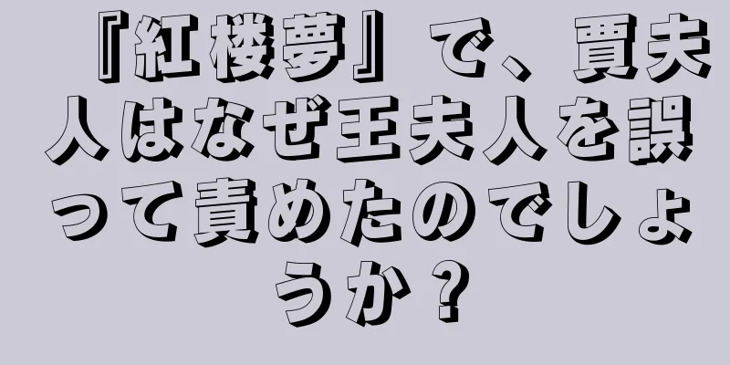 『紅楼夢』で、賈夫人はなぜ王夫人を誤って責めたのでしょうか？