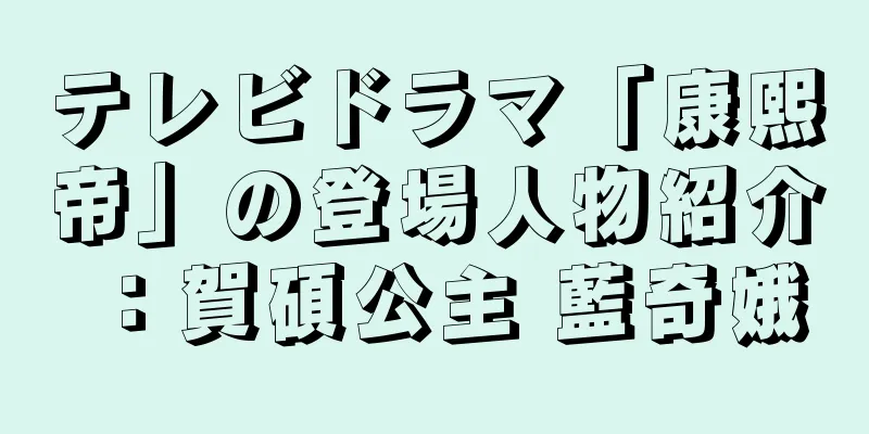 テレビドラマ「康熙帝」の登場人物紹介：賀碩公主 藍奇娥