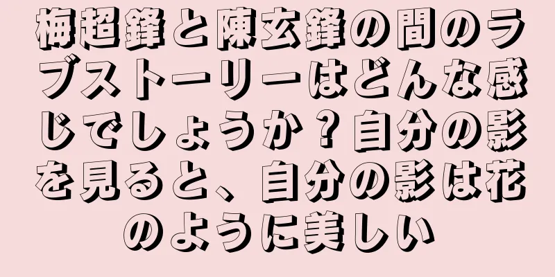 梅超鋒と陳玄鋒の間のラブストーリーはどんな感じでしょうか？自分の影を見ると、自分の影は花のように美しい