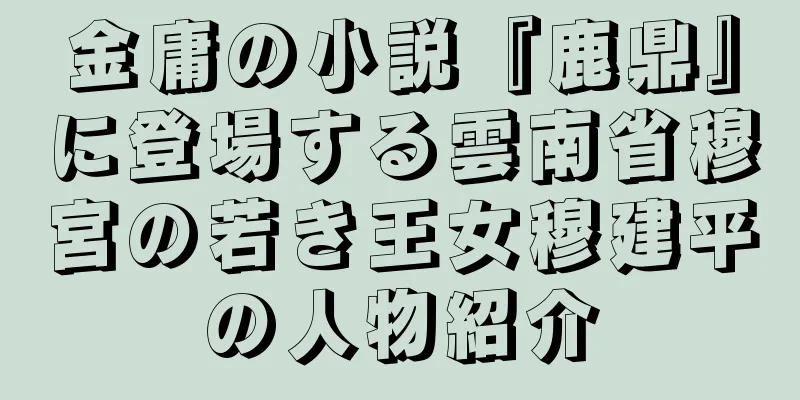 金庸の小説『鹿鼎』に登場する雲南省穆宮の若き王女穆建平の人物紹介