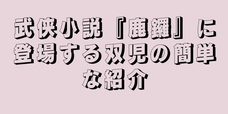 武侠小説『鹿鑼』に登場する双児の簡単な紹介