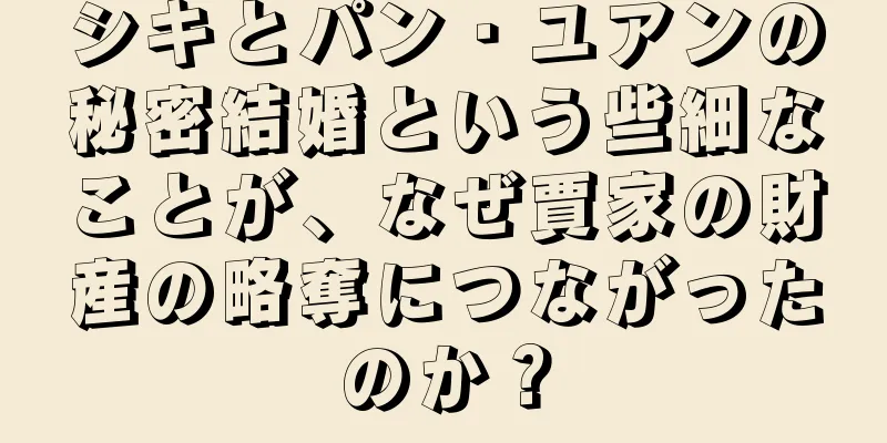 シキとパン・ユアンの秘密結婚という些細なことが、なぜ賈家の財産の略奪につながったのか？