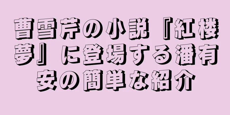 曹雪芹の小説『紅楼夢』に登場する潘有安の簡単な紹介