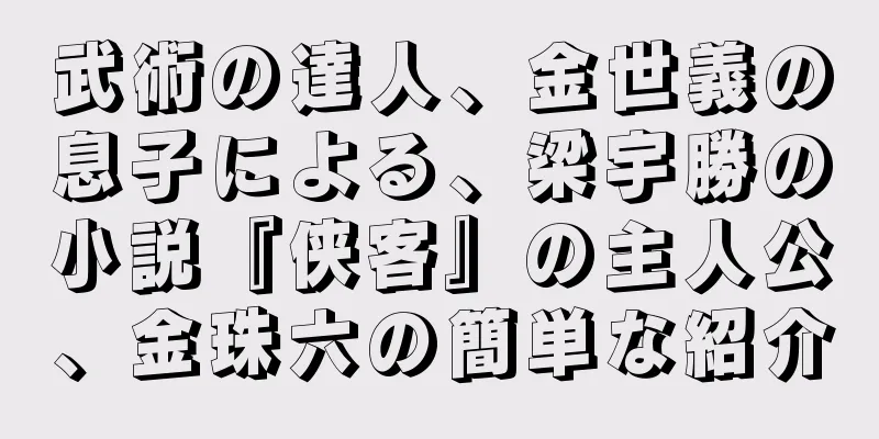 武術の達人、金世義の息子による、梁宇勝の小説『侠客』の主人公、金珠六の簡単な紹介