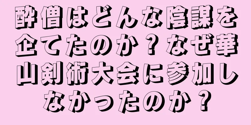 酔僧はどんな陰謀を企てたのか？なぜ華山剣術大会に参加しなかったのか？