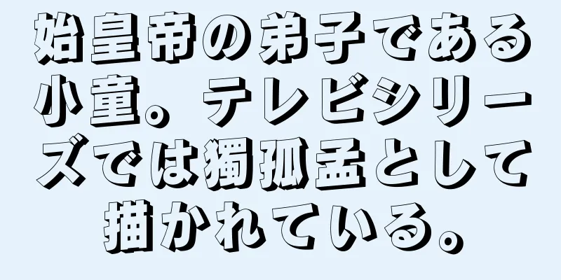 始皇帝の弟子である小童。テレビシリーズでは獨孤孟として描かれている。