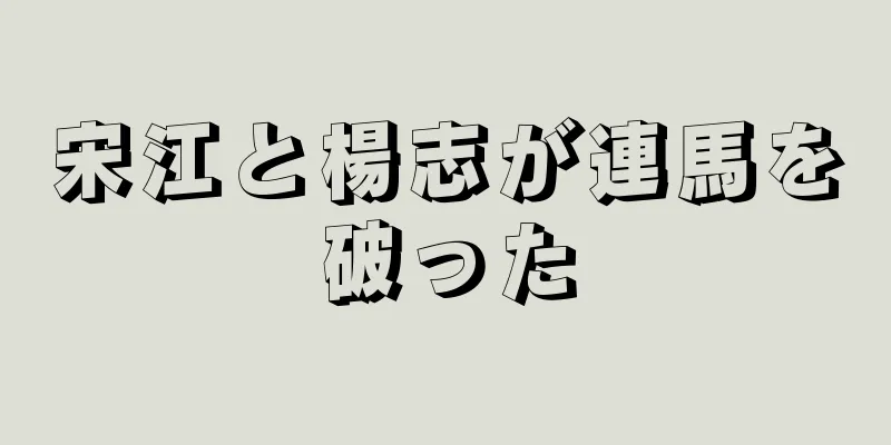 宋江と楊志が連馬を破った