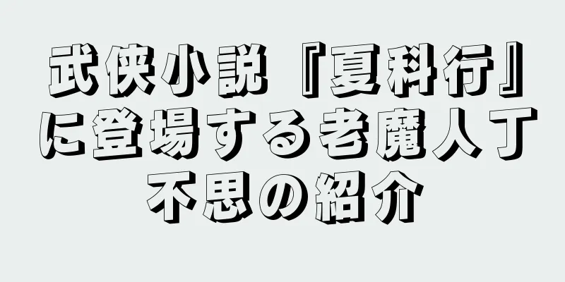 武侠小説『夏科行』に登場する老魔人丁不思の紹介