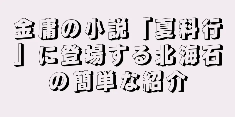 金庸の小説「夏科行」に登場する北海石の簡単な紹介