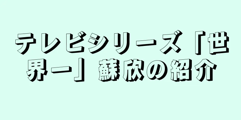 テレビシリーズ「世界一」蘇欣の紹介