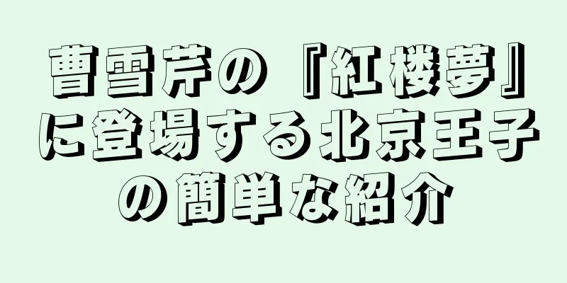曹雪芹の『紅楼夢』に登場する北京王子の簡単な紹介