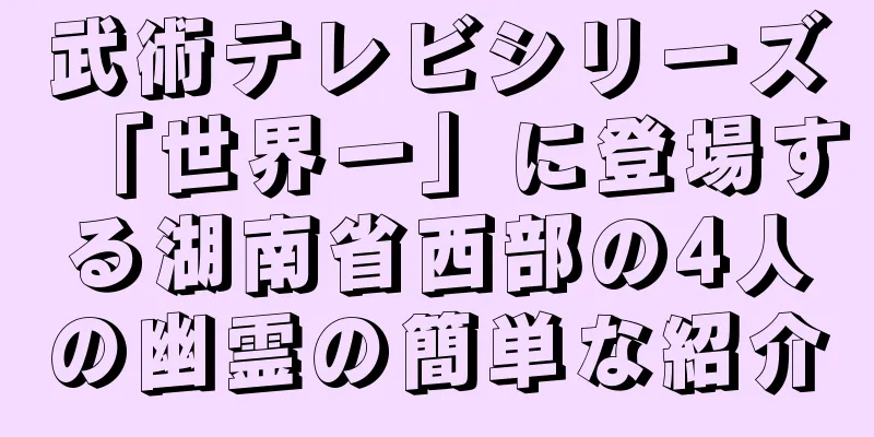 武術テレビシリーズ「世界一」に登場する湖南省西部の4人の幽霊の簡単な紹介