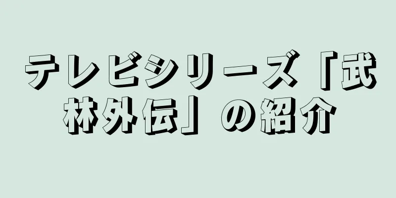 テレビシリーズ「武林外伝」の紹介